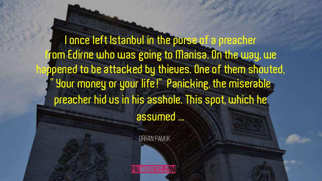Panicking quotes by Orhan Pamuk