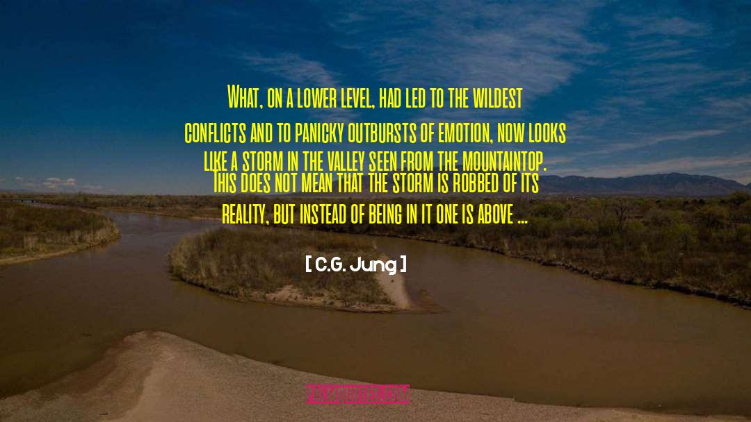 Panicky quotes by C.G. Jung