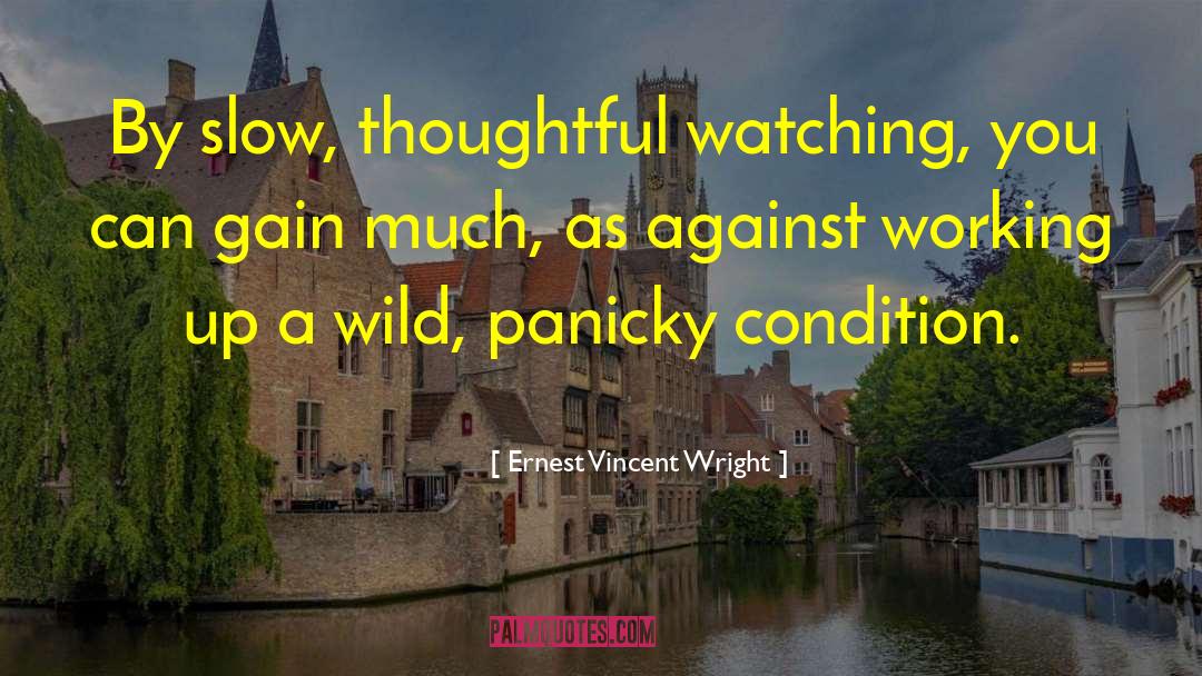 Panicky quotes by Ernest Vincent Wright