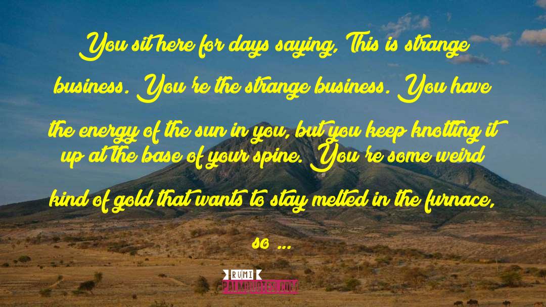 Panning For Gold quotes by Rumi