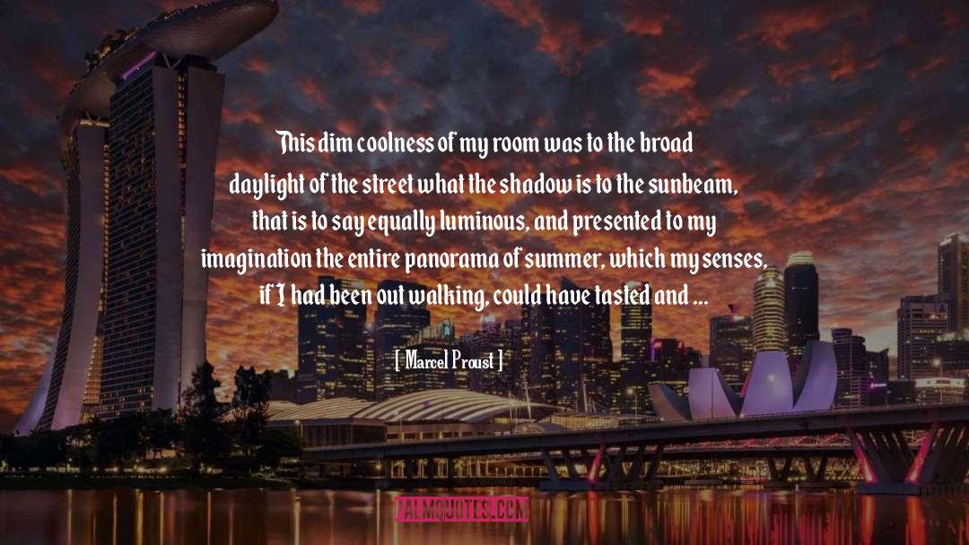 Panorama quotes by Marcel Proust