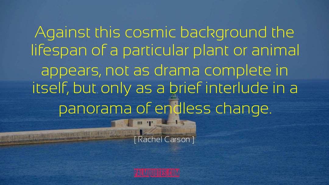 Panorama quotes by Rachel Carson