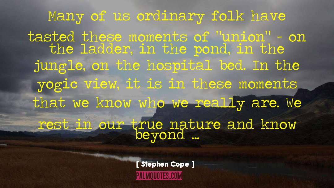 Panoramic View quotes by Stephen Cope