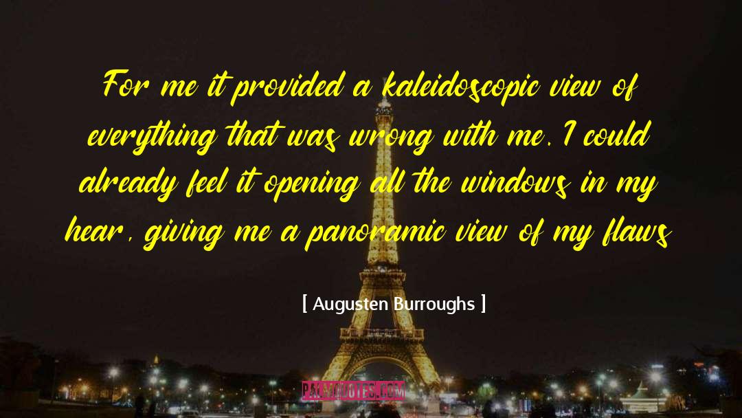 Panoramic View quotes by Augusten Burroughs