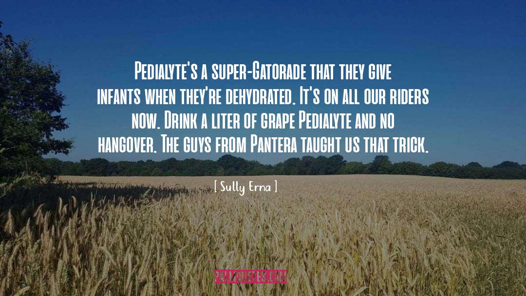 Pantera quotes by Sully Erna