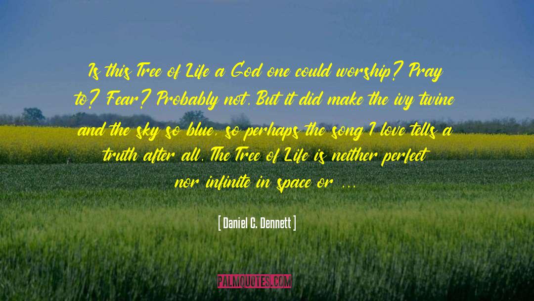 Pantheism quotes by Daniel C. Dennett