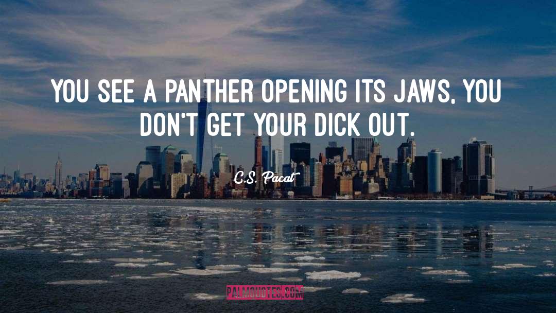 Panther quotes by C.S. Pacat