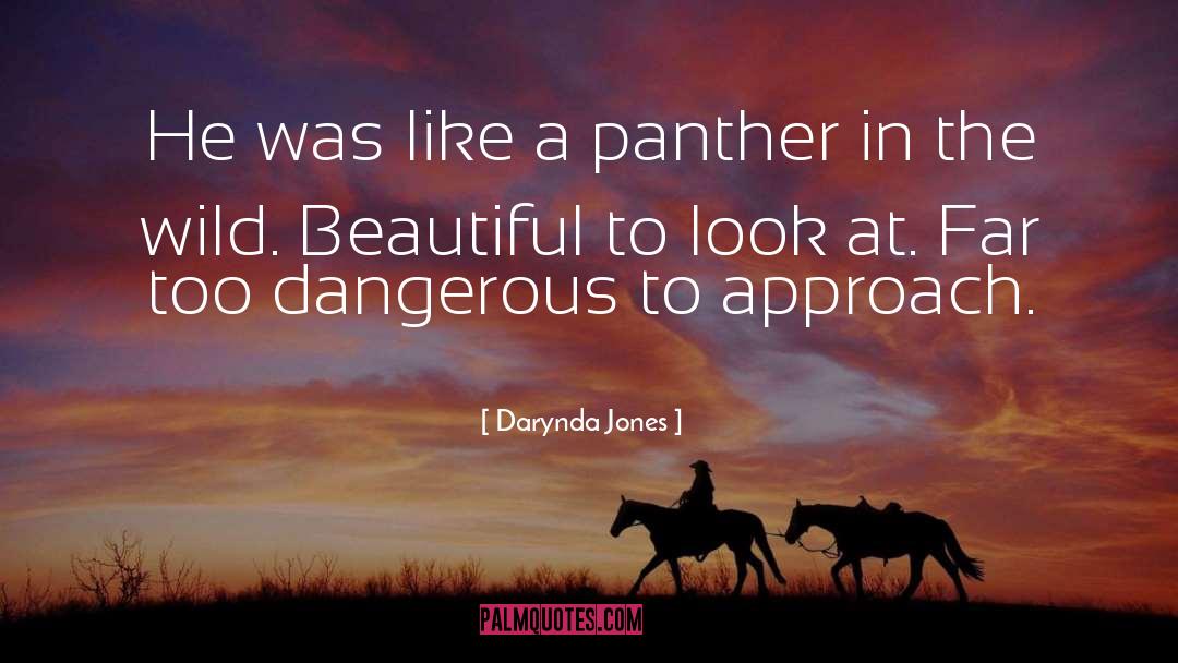 Panther quotes by Darynda Jones