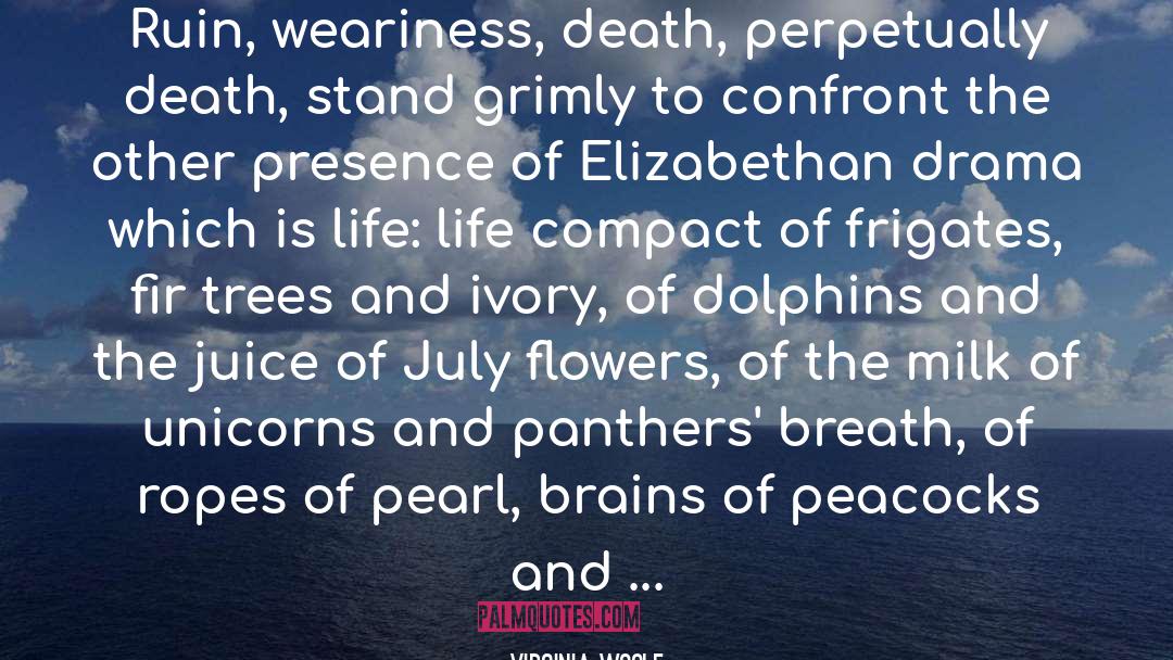 Panthers quotes by Virginia Woolf