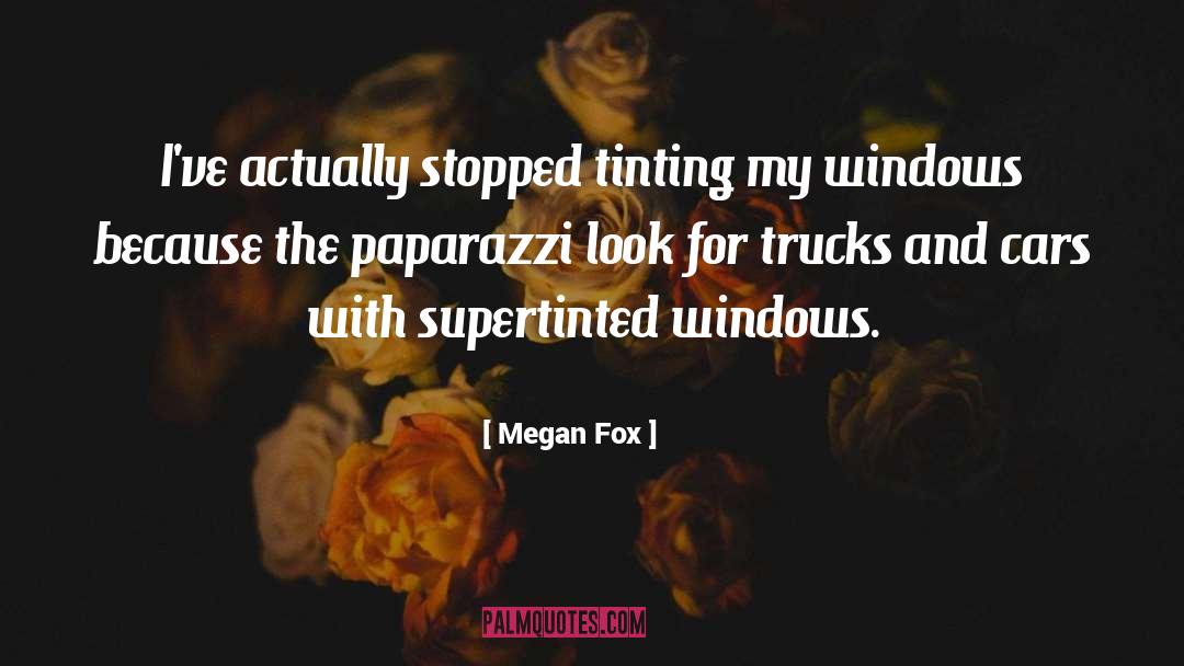 Paparazzi quotes by Megan Fox