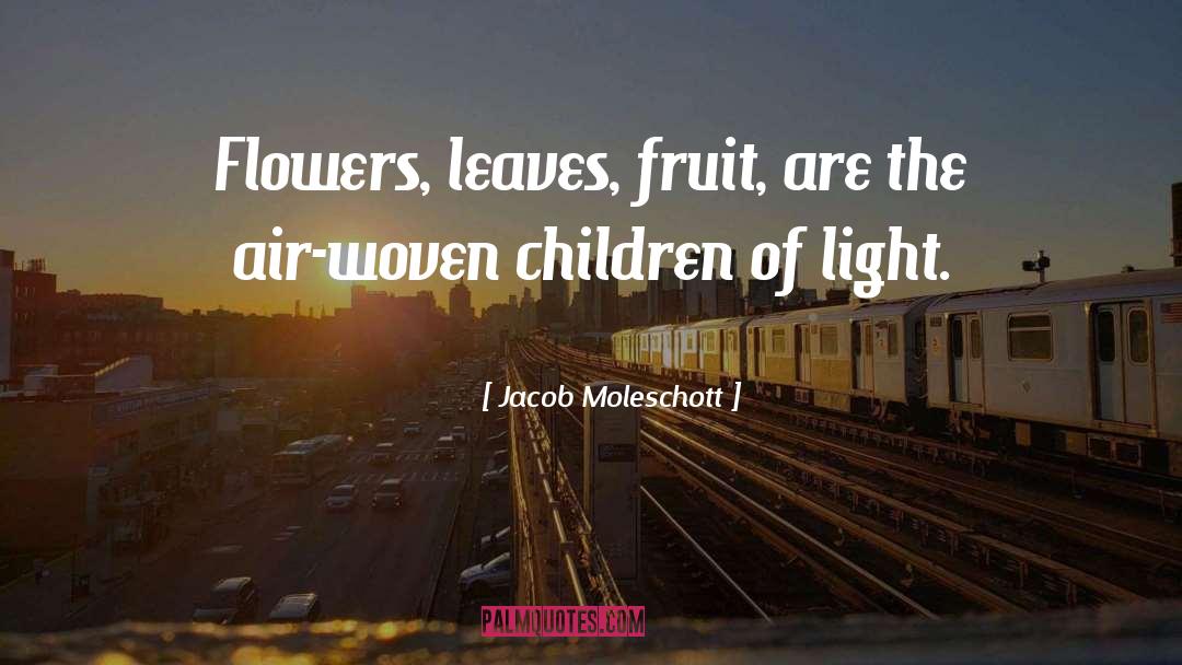 Paper Flowers quotes by Jacob Moleschott