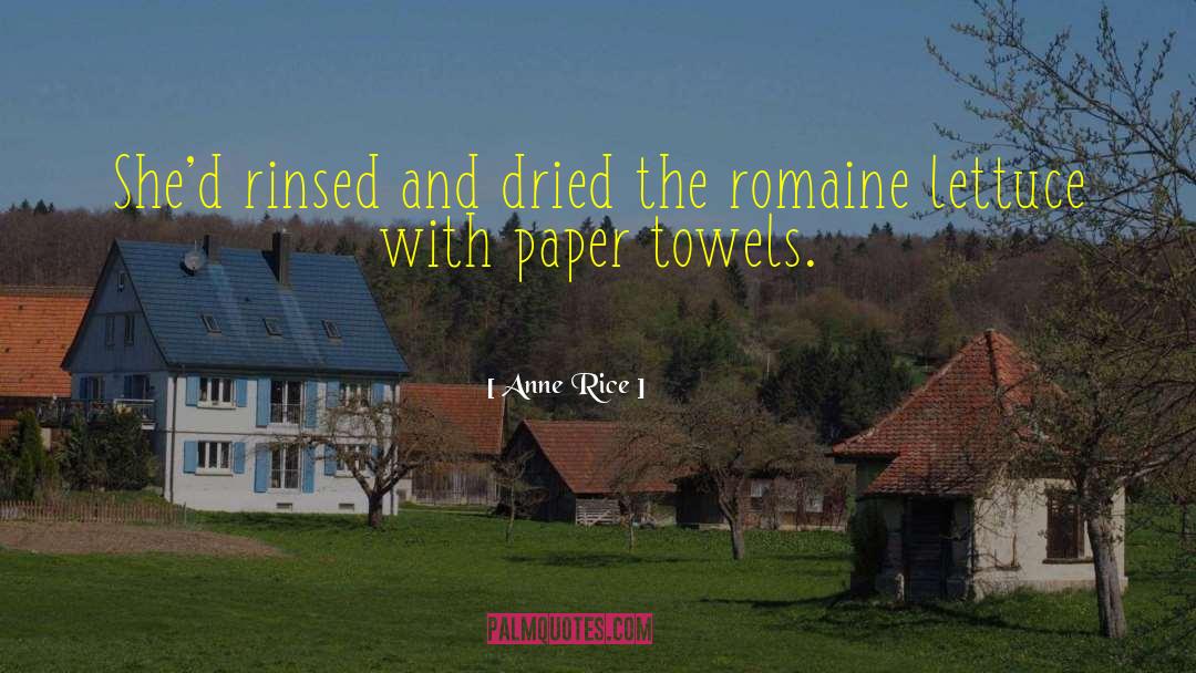 Paper Towels quotes by Anne Rice