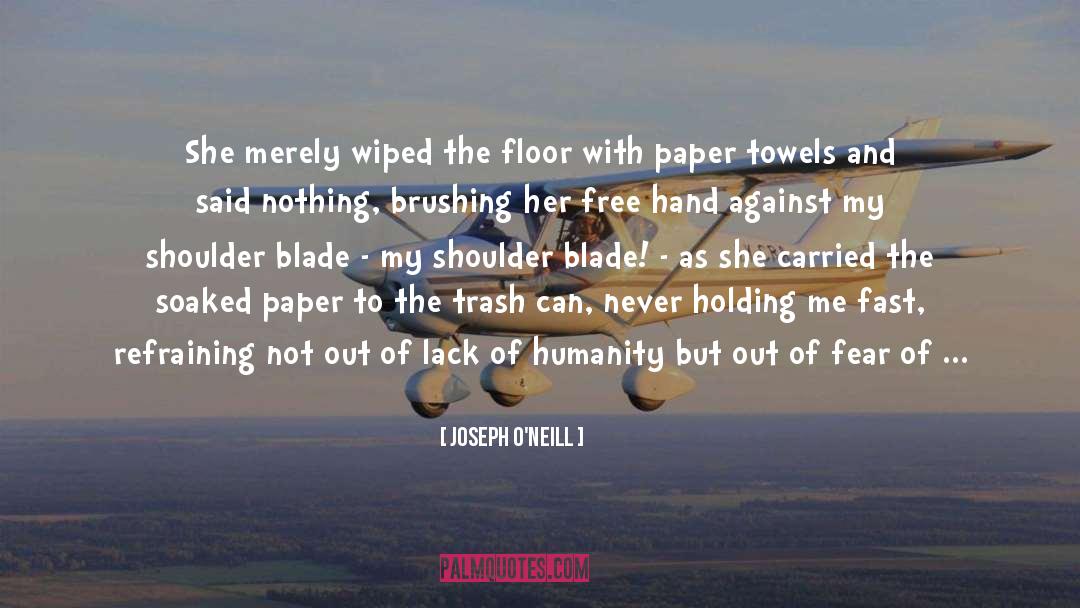 Paper Towels quotes by Joseph O'Neill