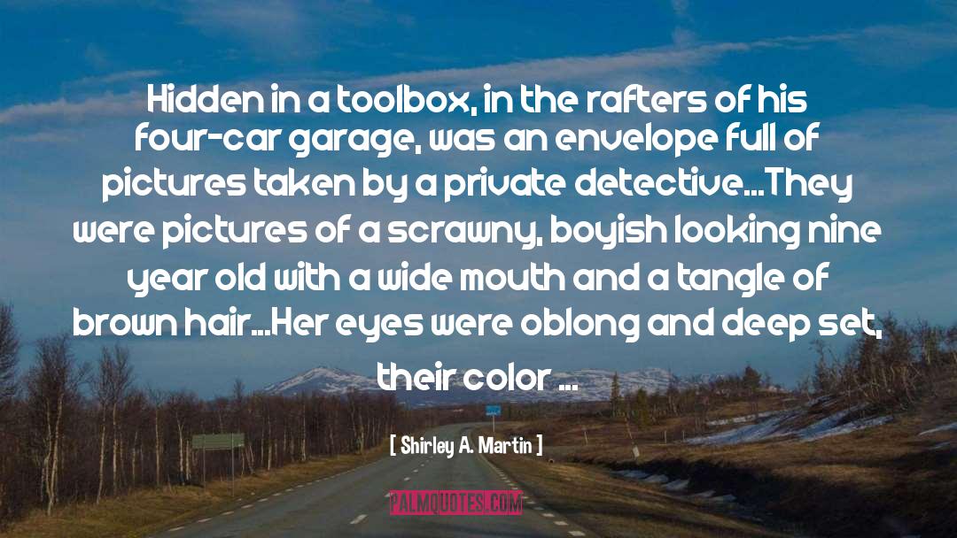 Paper Towns quotes by Shirley A. Martin