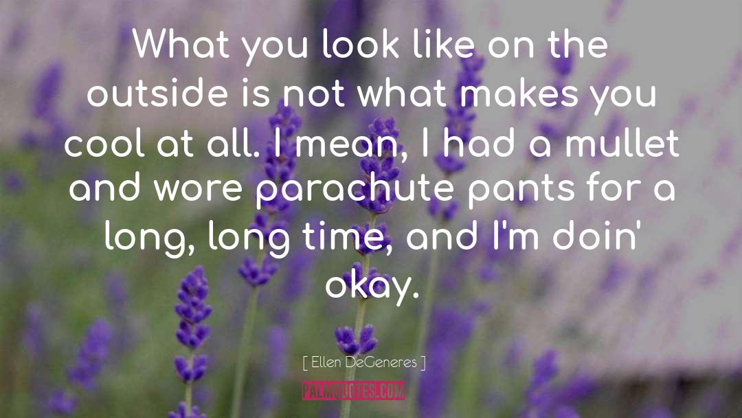 Parachute quotes by Ellen DeGeneres