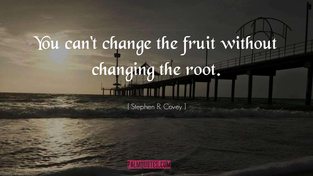 Paradigm Shift quotes by Stephen R. Covey