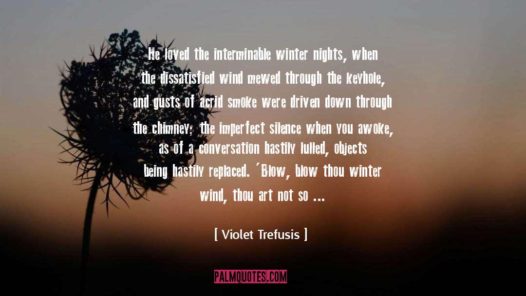 Paradox Of Silence quotes by Violet Trefusis