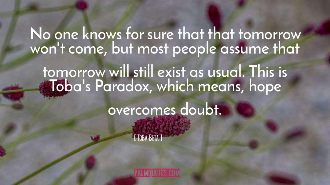 Paradox quotes by Toba Beta