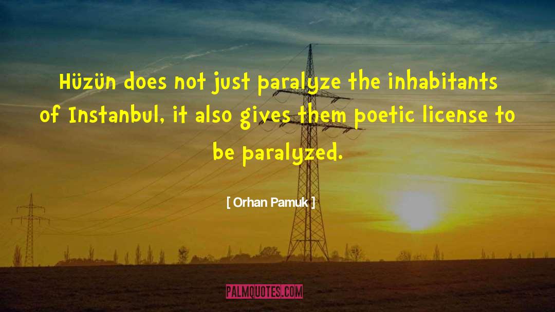 Paralyze quotes by Orhan Pamuk