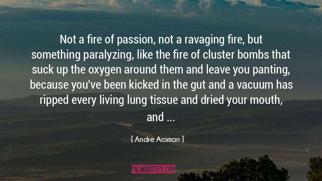 Paralyzing quotes by Andre Aciman