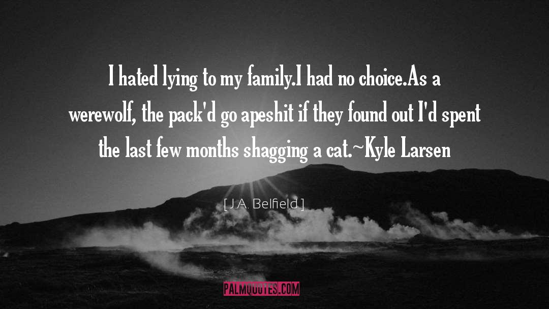 Paranormal Family Vacation quotes by J.A. Belfield