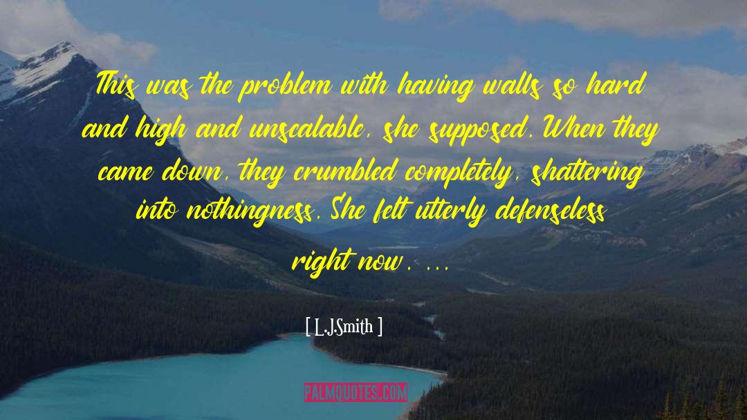 Paranormal Investigation quotes by L.J.Smith