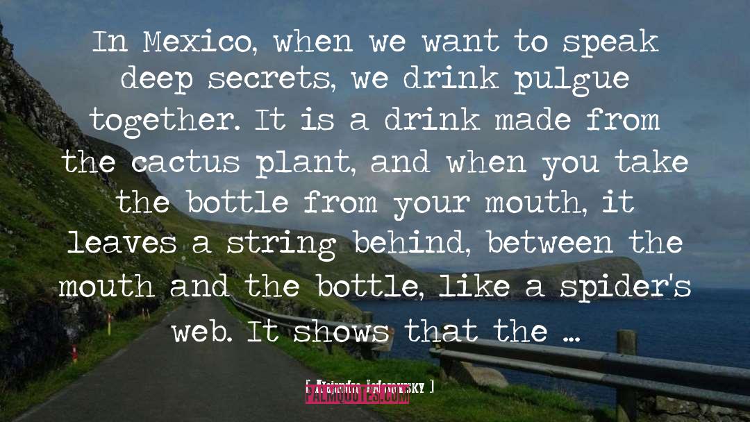 Pararrayos Mexico quotes by Alejandro Jodorowsky