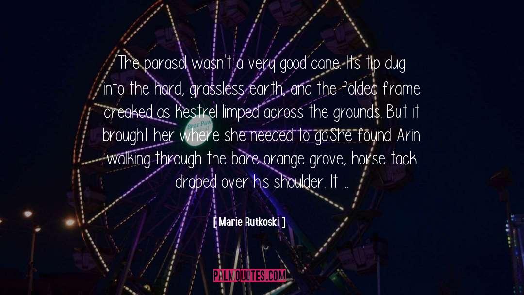 Parasol Protectorate quotes by Marie Rutkoski