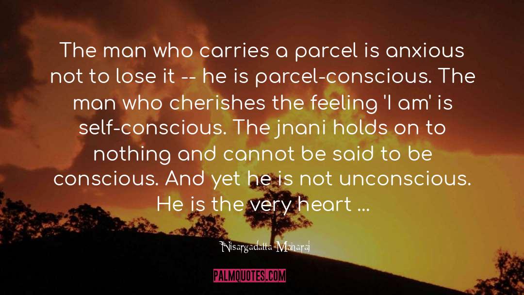 Parcel quotes by Nisargadatta Maharaj