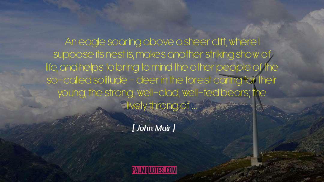 Parcel quotes by John Muir