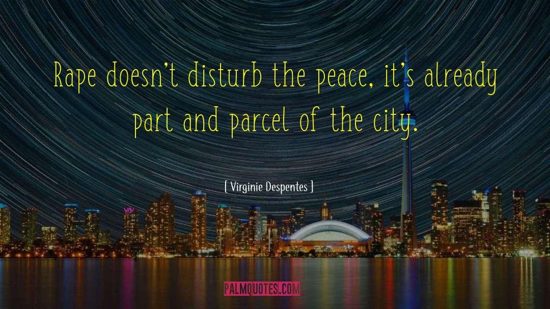 Parcel quotes by Virginie Despentes