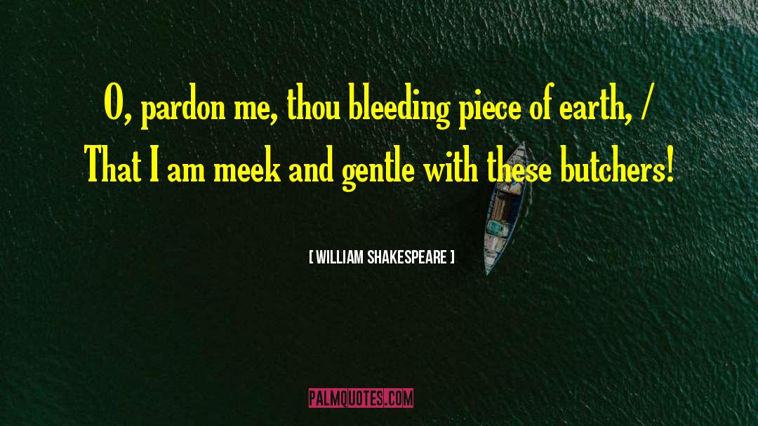 Pardon Me quotes by William Shakespeare