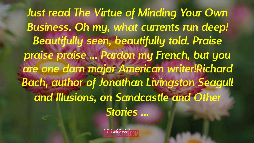 Pardon My French quotes by Richard Bach