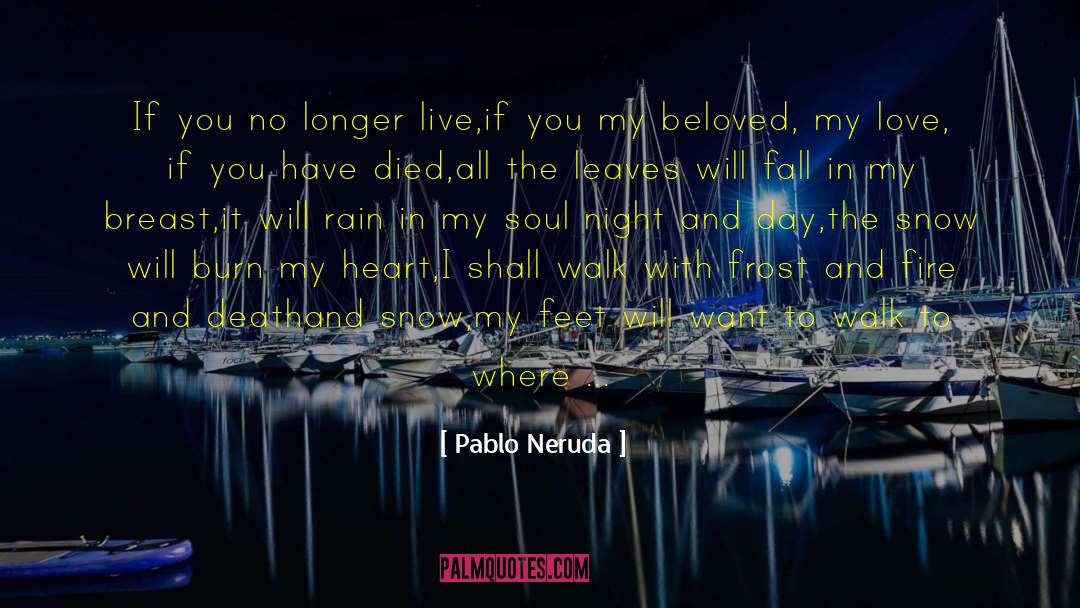 Pardoned Soul quotes by Pablo Neruda