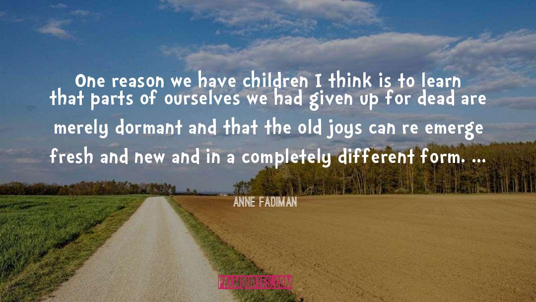 Parenting quotes by Anne Fadiman