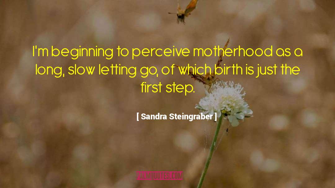 Parenting Tips quotes by Sandra Steingraber