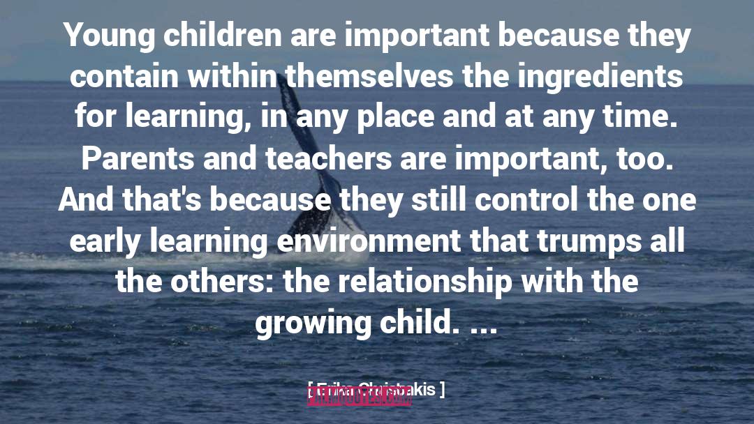 Parents And Teachers quotes by Erika Christakis