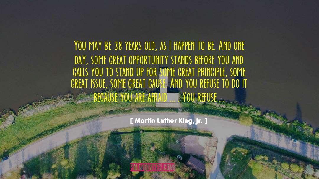 Pareto Principle quotes by Martin Luther King, Jr.