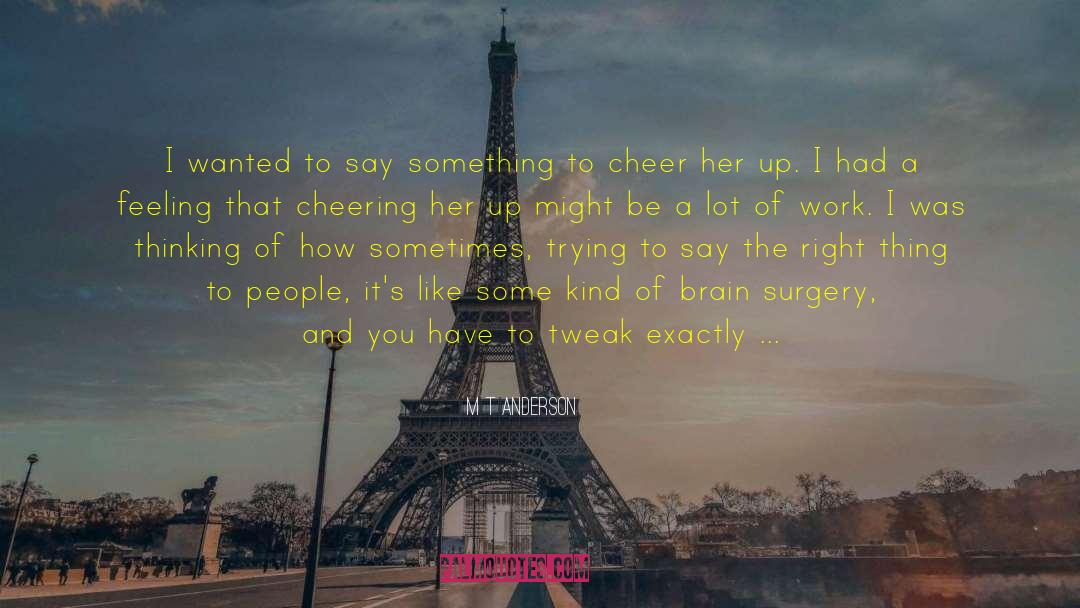 Paris Anderson quotes by M T Anderson