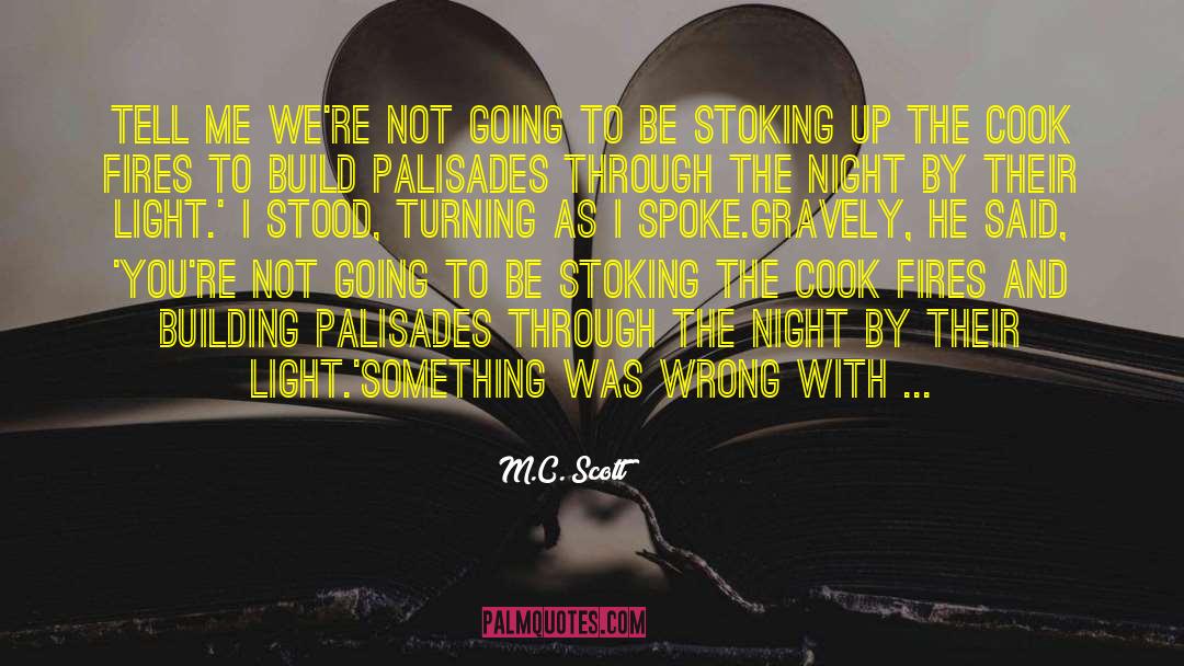 Paris By Night quotes by M.C. Scott