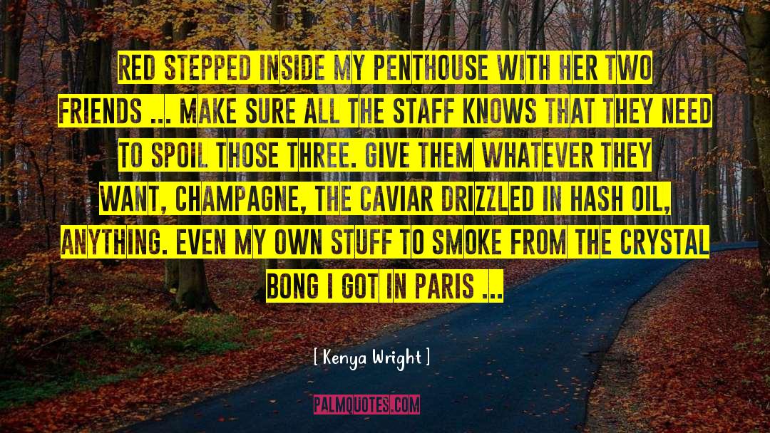 Paris Midnight In Paris quotes by Kenya Wright