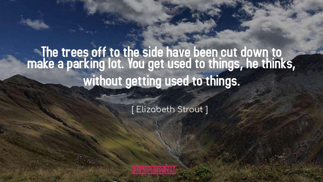 Parking Fines quotes by Elizabeth Strout