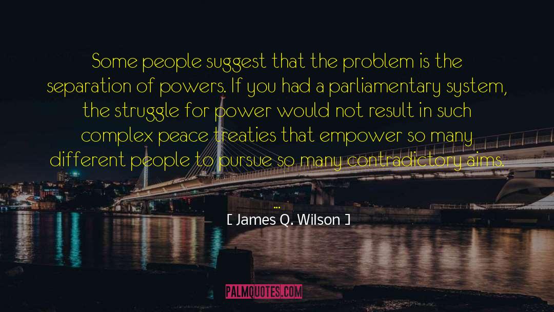 Parliamentary System quotes by James Q. Wilson