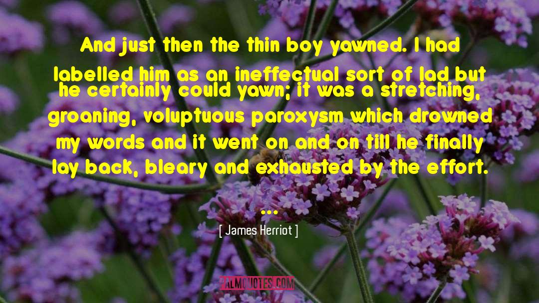 Paroxysm quotes by James Herriot