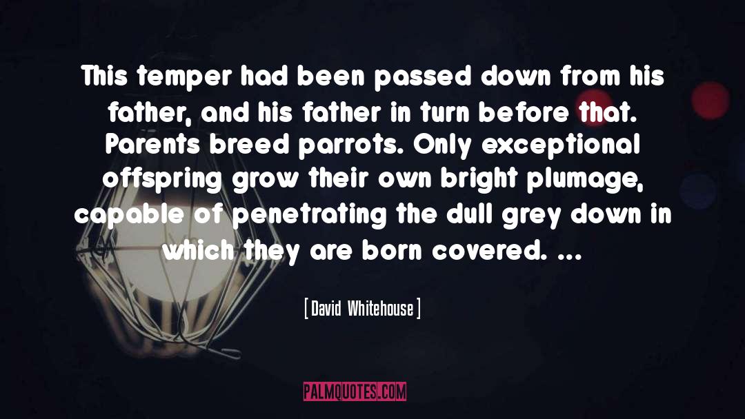 Parrots quotes by David  Whitehouse