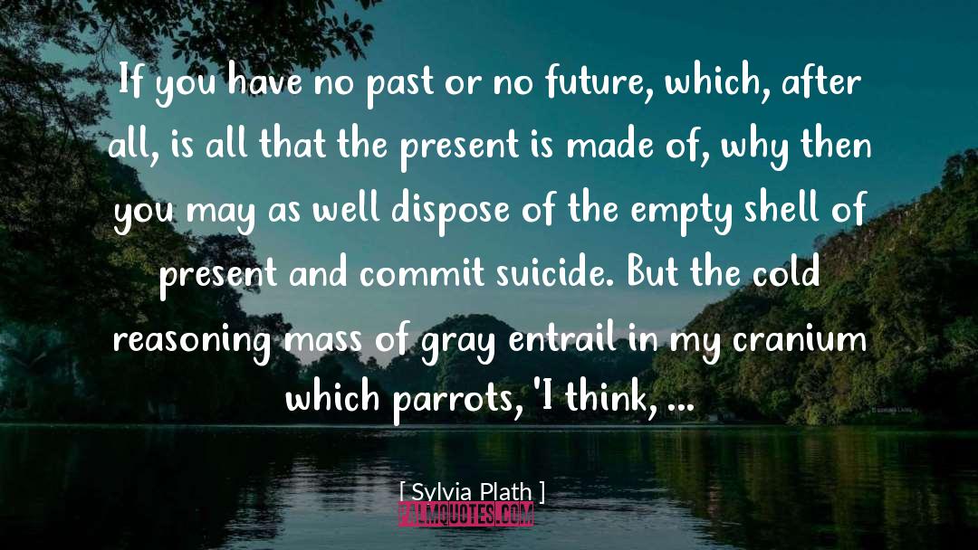 Parrots quotes by Sylvia Plath