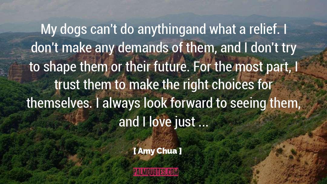 Part I quotes by Amy Chua