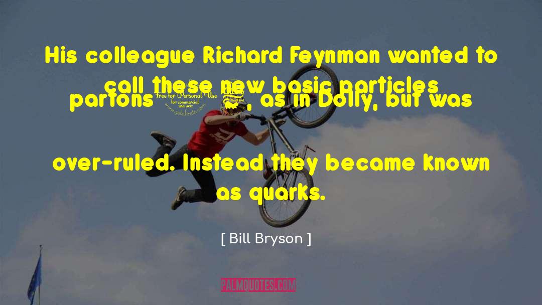 Particles quotes by Bill Bryson