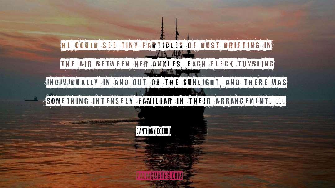 Particles quotes by Anthony Doerr