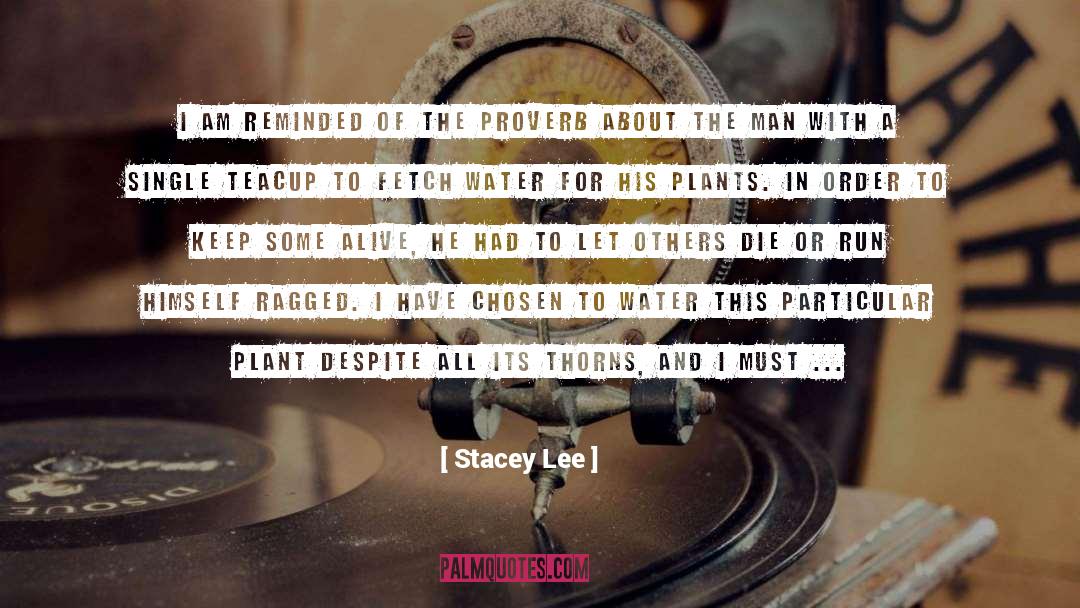 Particular quotes by Stacey Lee